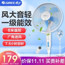 格力（GREE）電風扇家用搖頭定時遙控立式辦公室宿舍客廳節能落地扇 一級能效